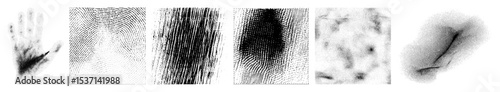 Vector Detailed fingerprint showcase forensic science elements.