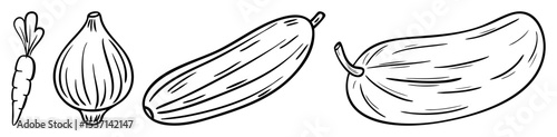 Vector Botanical of four cardamom pods in varying perspectives.