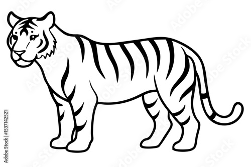 vector illustration of a white tiger
