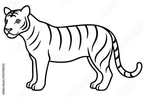 vector illustration of a white tiger