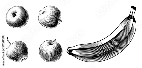 Vector Detailed vector of apples and a banana.
