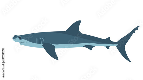 A side profile illustration of a blue shark against a white background. The illustration is vector-based, showing a stylized but relatively realistic depiction of the shark. The shark is rendered