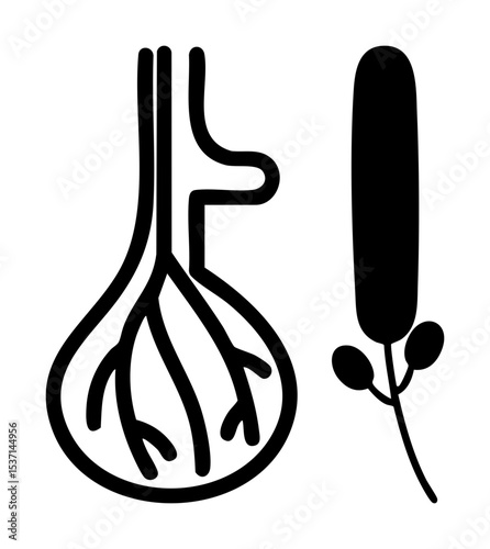 Vector Botanical featuring a root system and a sprouting plant.
