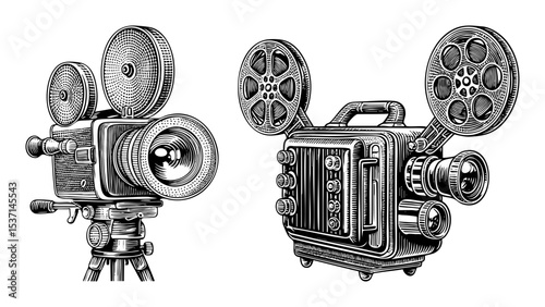 Vector Vintage film cameras with reels and lenses.