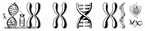 Vector Detailed of DNA structures and molecular biology elements.