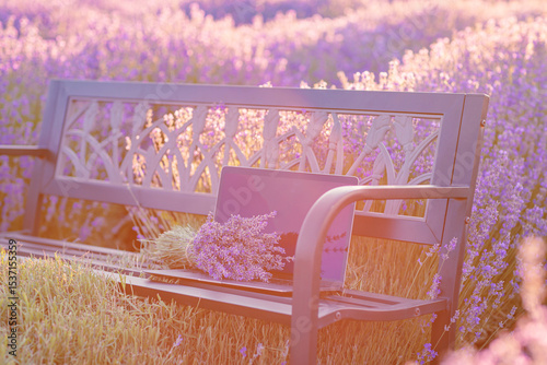 Beautiful composition with laptop and bouquet of lavender flowers on bench among lavender field at sunset