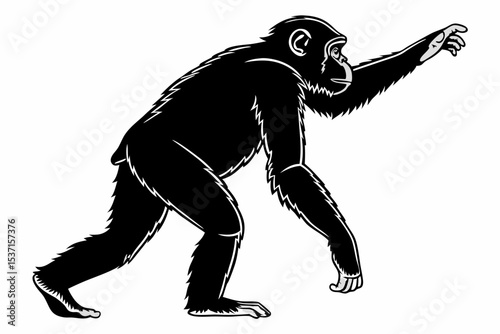 chimpanzee sihouette black vector