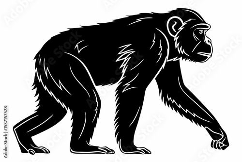 chimpanzee sihouette black vector