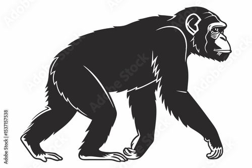 chimpanzee sihouette black vector