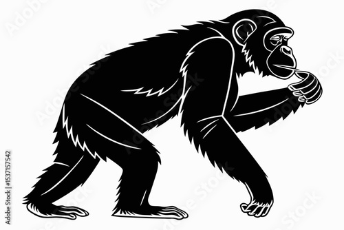 chimpanzee sihouette black vector