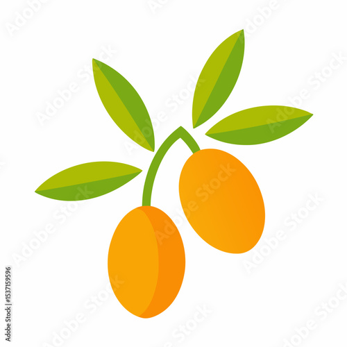 Colorful vector illustration of a fresh Sea buckthorn on a solid white background