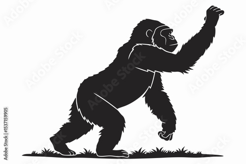 gorilla sihouette black vector