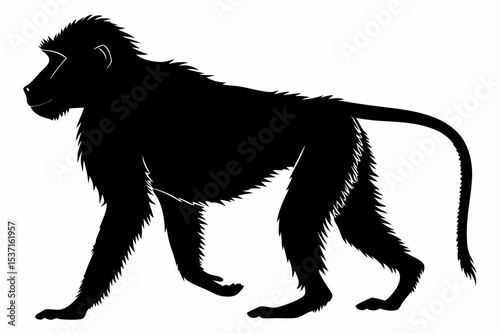 baboon sihouette black vector