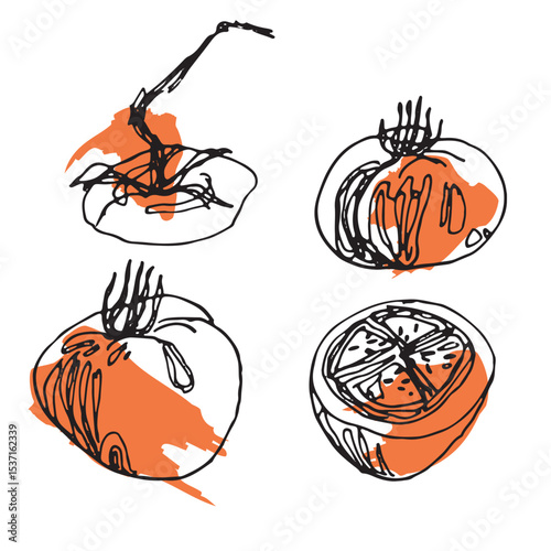 Set of whole and cut tomatoes, handdrawn outline berries on a background of bright red splashes