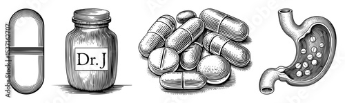Vector Medical featuring capsules pill bottle and human stomach anatomy.