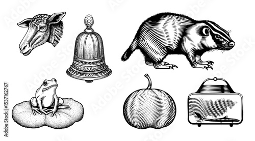 Vector Detailed illustrations of a lamb bell badger frog  and portable radio.