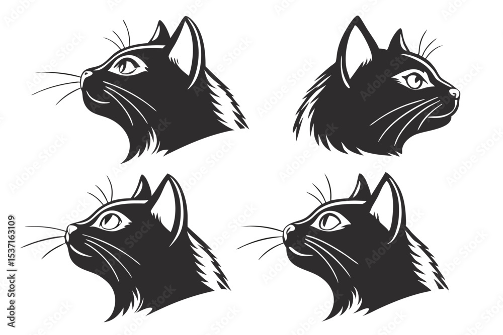 Obraz premium black and white cats