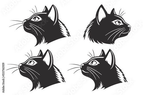 black and white cats