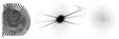 Vector Expanding radial showcase dynamic vector growth.