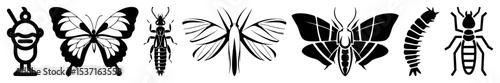 Vector Stylized insect collection featuring symmetrical vector illustrations of butterflies dragonflies and beetles.
