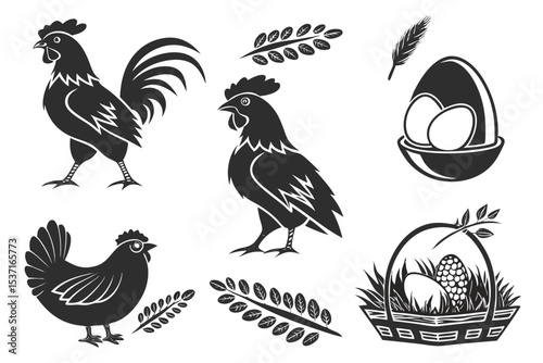 chicken