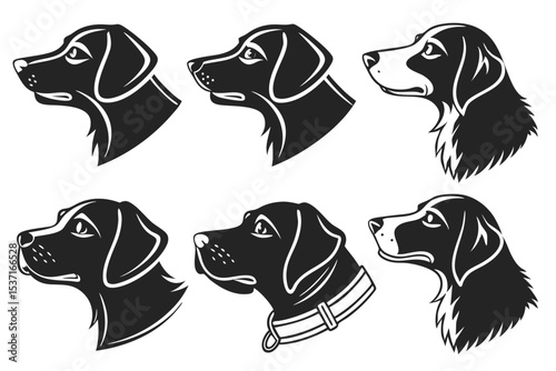 collection of dogs