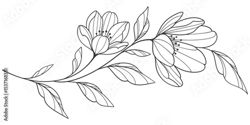 Minimalist Floral Line Art, Hand Drawn Flower Illustration