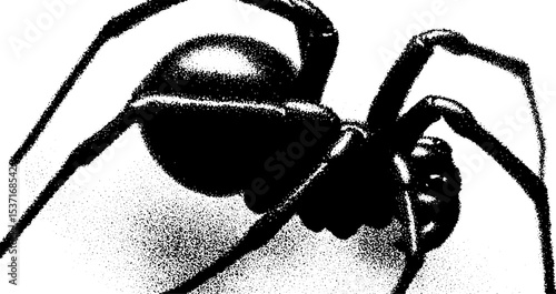 High contrast silhouette of a black widow spider