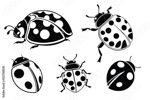 set of ladybug