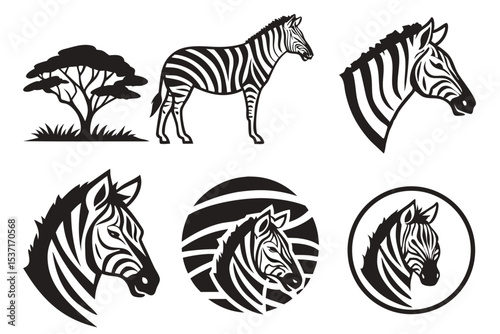 zebra vector illustration