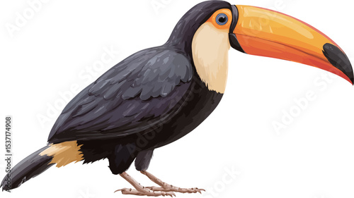 A digital illustration of a toucan. The bird is depicted in a three-quarter view, facing slightly to the right.  The toucan is primarily black with a yellow and orange undertail and a large,