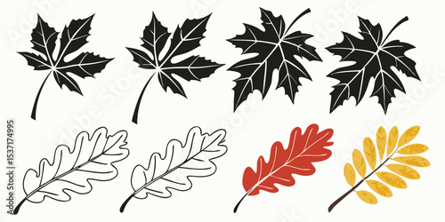 Seamless autumn leaves vector collection featuring colorful maple and oak foliage for a nature-inspired design pattern