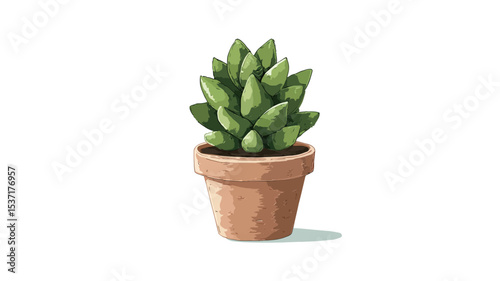 A digital illustration of a small succulent plant in a terracotta pot. The style is painterly, with visible brush strokes. The plant is a light to medium green,  with pointed leaves.