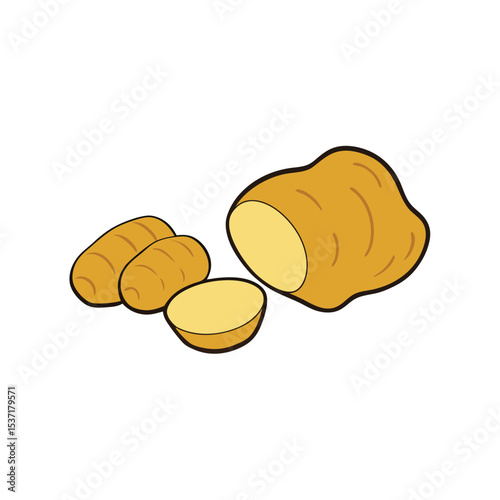 Fresh ginger root and slices artwork Vector illustration