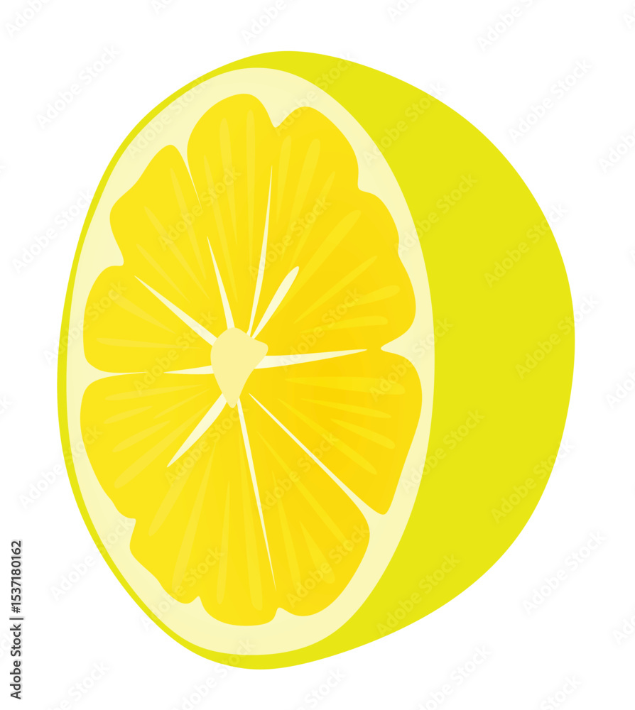 Yellow lemon isolated. vector illustration
Yellow lemon isolated. vector illustration