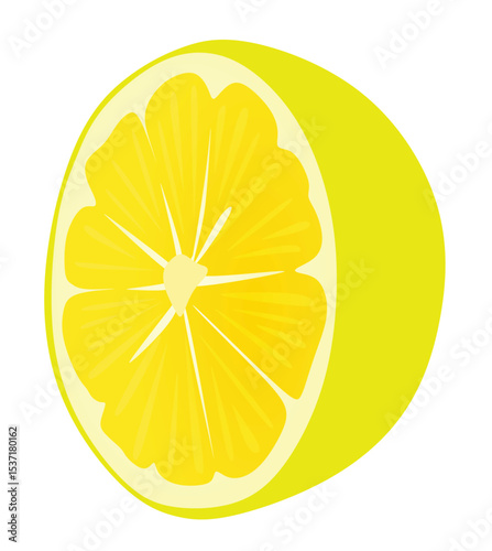 Yellow lemon isolated. vector illustration	
