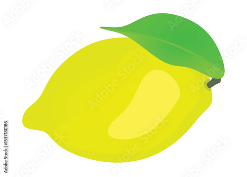 Yellow lemon isolated. vector illustration	
