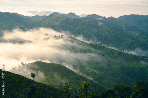 High-angle view of the mountain with lush green forest in Thailand. There is fog covering around in the morning. Fresh trees in the rainy season. The idea for a nature background with copy space.