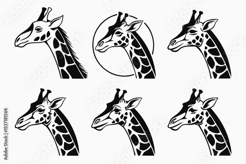 set of giraffe