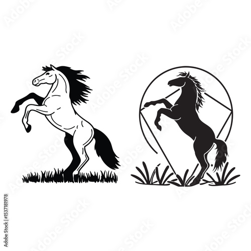 Majestic Horse Illustrations Two Elegant Designs of a Rearing Horse
