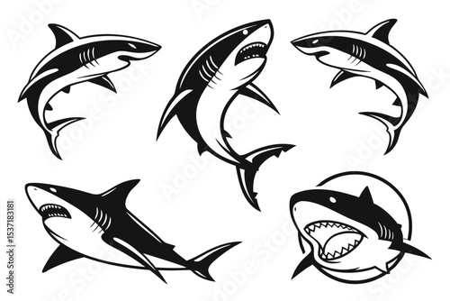 set of sharks