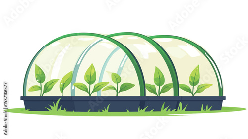 Illustration of three small, dome-shaped mini-greenhouses with transparent covers. Each greenhouse contains several small green seedlings growing in a dark blue rectangular tray. The tray rests on
