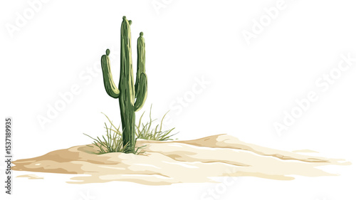 A digital illustration depicts a single saguaro cactus standing upright in a small dune of light beige sand.  The cactus is a deep green and has a tall, slender, columnar form with a few arms