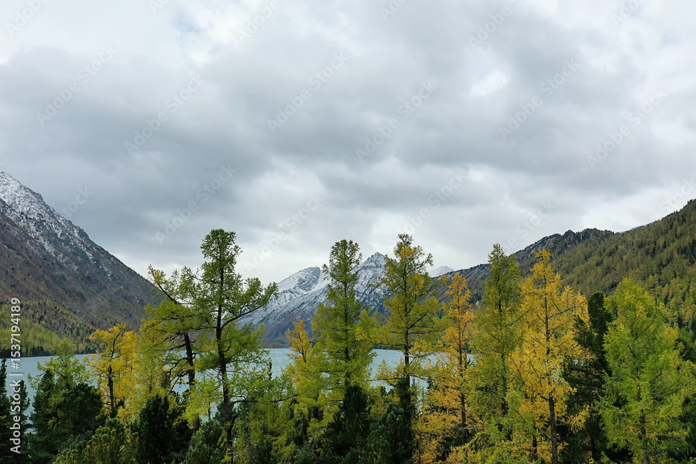 Obraz premium drone view of the autumn landscape of the Altai mountains, a beautiful view from above of nature, river and mountains