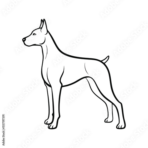 Doberman Dog Outline Vector – Guard Pet Line Art Clipart

