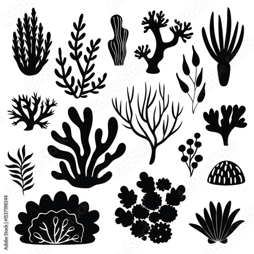 Seaweed Silhouette Vector Set – Ocean Plant Clipart Collection

