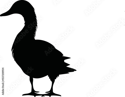 Duck Silhouette – Waterfowl Vector Illustration with Webbed Feet