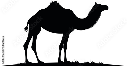 Dromedary Camel Silhouette – One-Humped Desert Mammal Vector Illustration