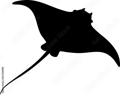 Manta Ray Silhouette – Graceful Marine Animal Vector Illustration with Wide Wingspan