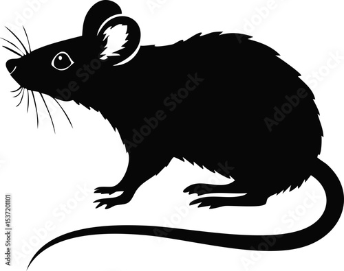 Rat Silhouette – Small Rodent Vector Illustration with Long Tail